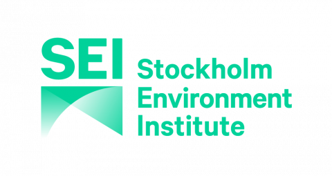 SEI Logo